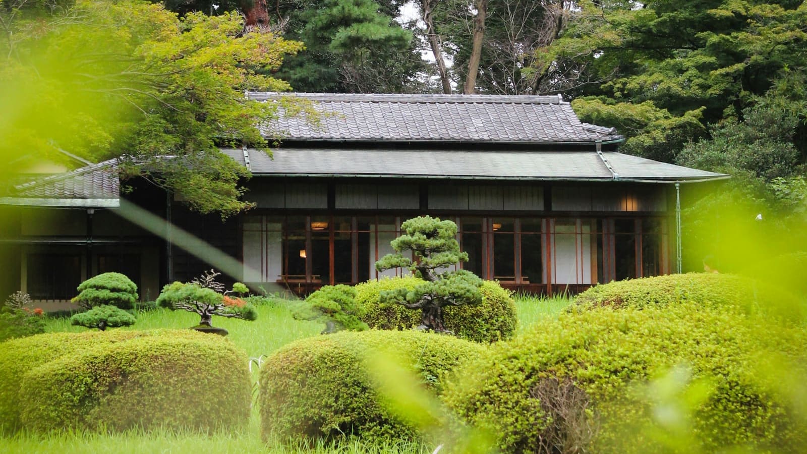 緑に囲まれた伝統的な日本家屋