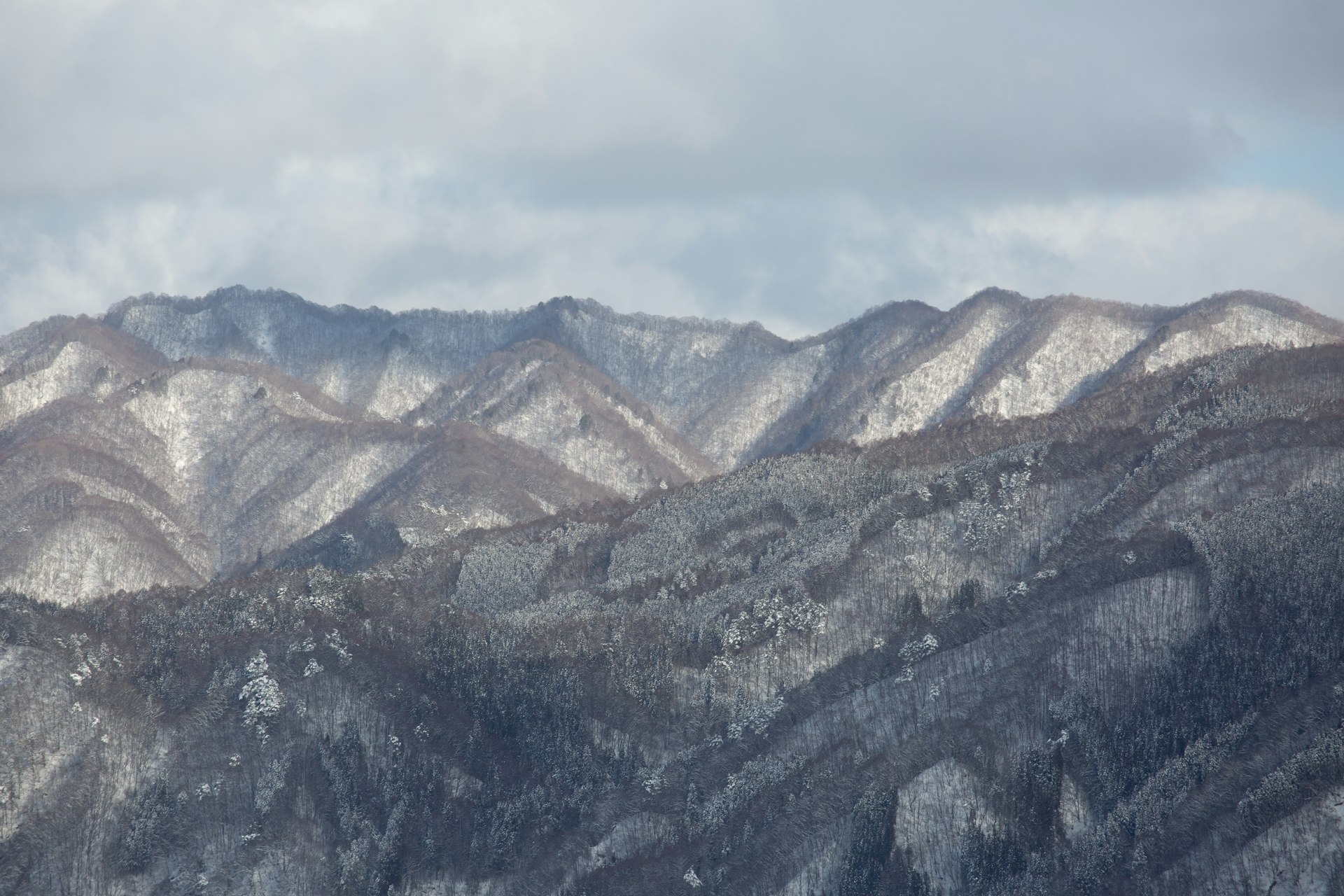 新潟県妙高エリアの雪山の風景